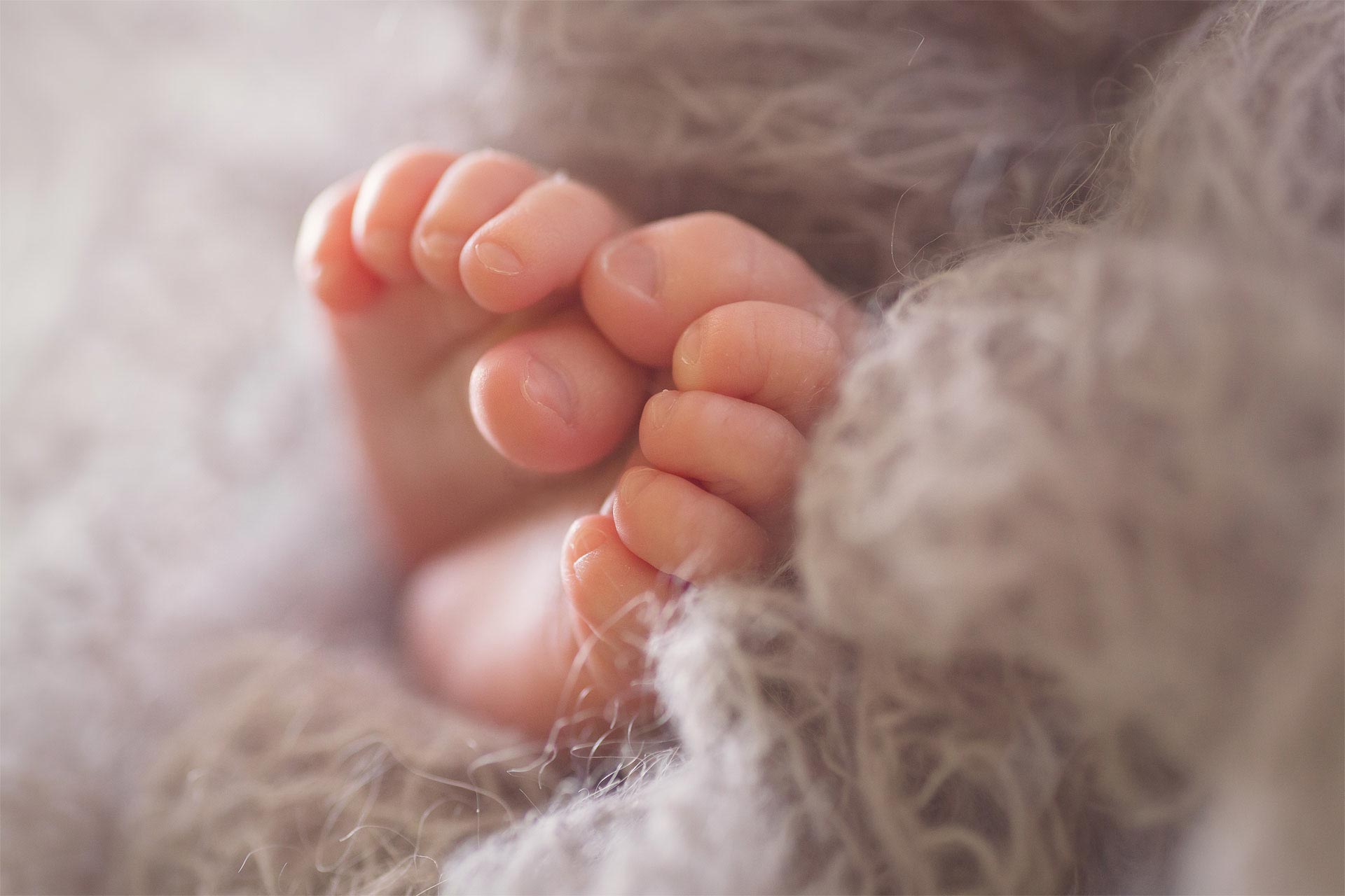 Стулова Полина, фотостудия для художественного фото новорожденных, детей и их родителей